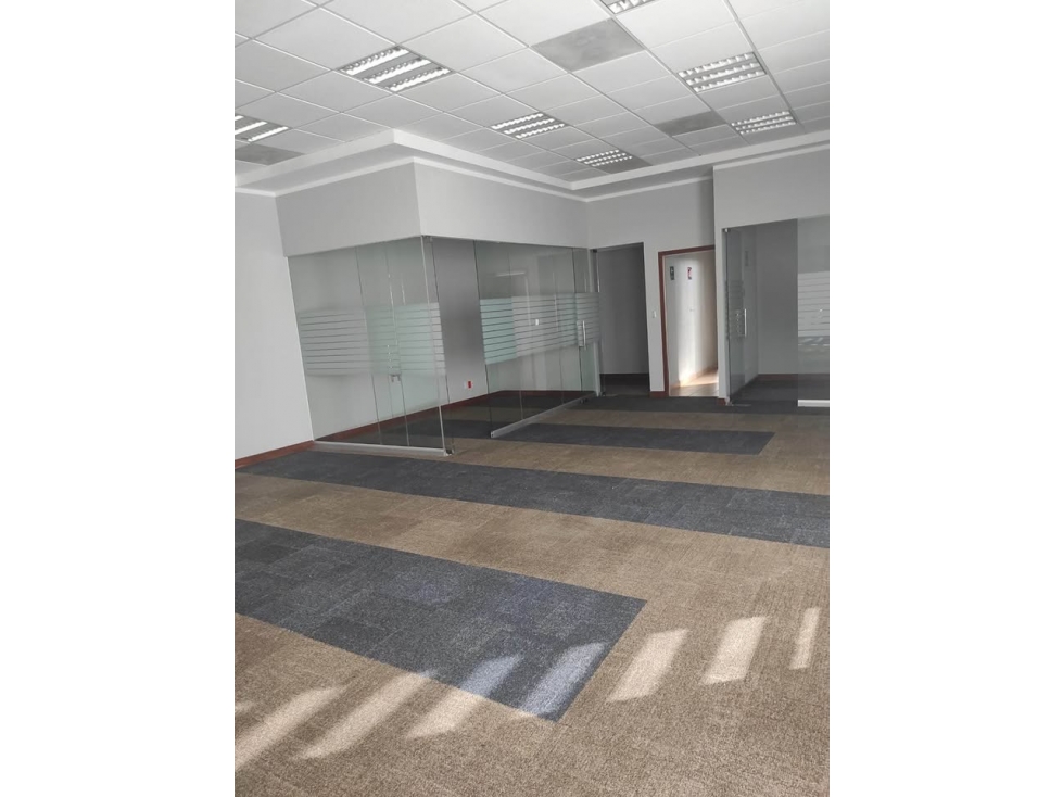 OFICINA EN RENTA DE 196 M2 EN AV. TOMAS FERNANDEZ CON ESTACIONAMIENTO - 2