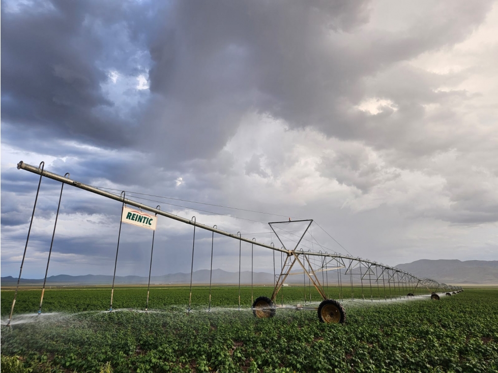 TERRENO EN VENTA DE 255 HECTAREAS EN NUEVO CASAS GRANDES CON 3 PIVOTES - 2