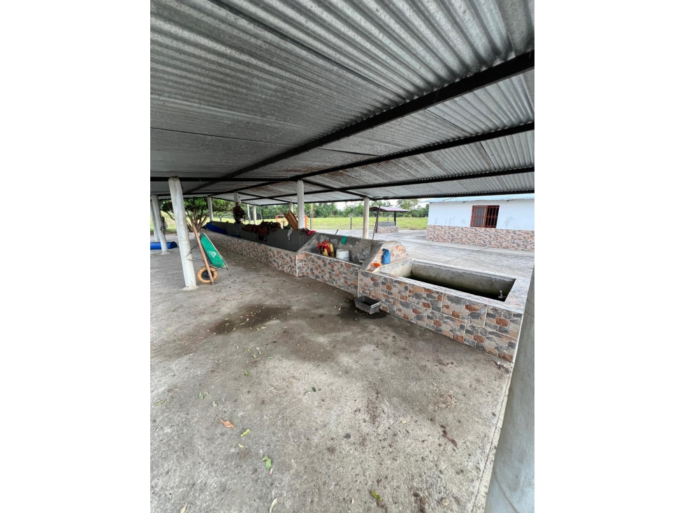 VENTA FINCA EN SABANA DE TORRES - 2