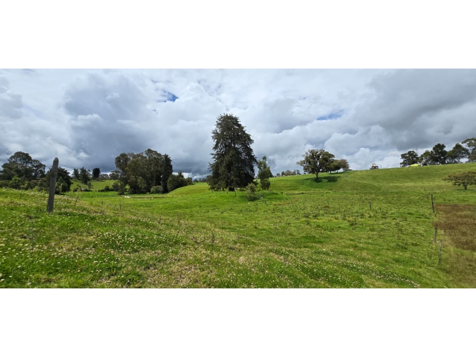 Se vende hermoso Lote ubicado en San pedro de los milagros 1897 mts2