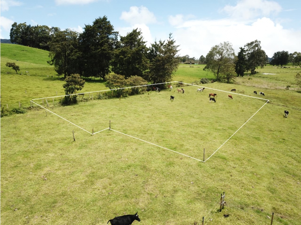 Se vende hermoso Lote ubicado en San pedro de los Milagros Lote 50