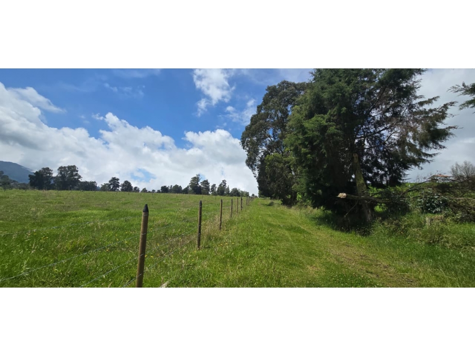 Se vende hermoso Lote ubicado en San pedro de los milagros 2268 mts2
