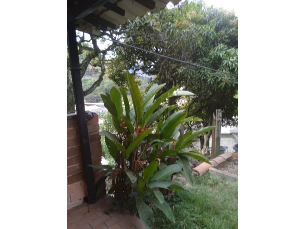 Apartamento — foto 4
