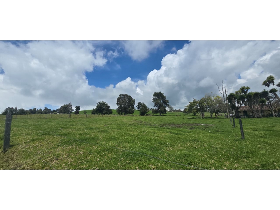 Se vende hermoso Lote ubicado en San pedro de los Milagros Lote 2 — foto 2