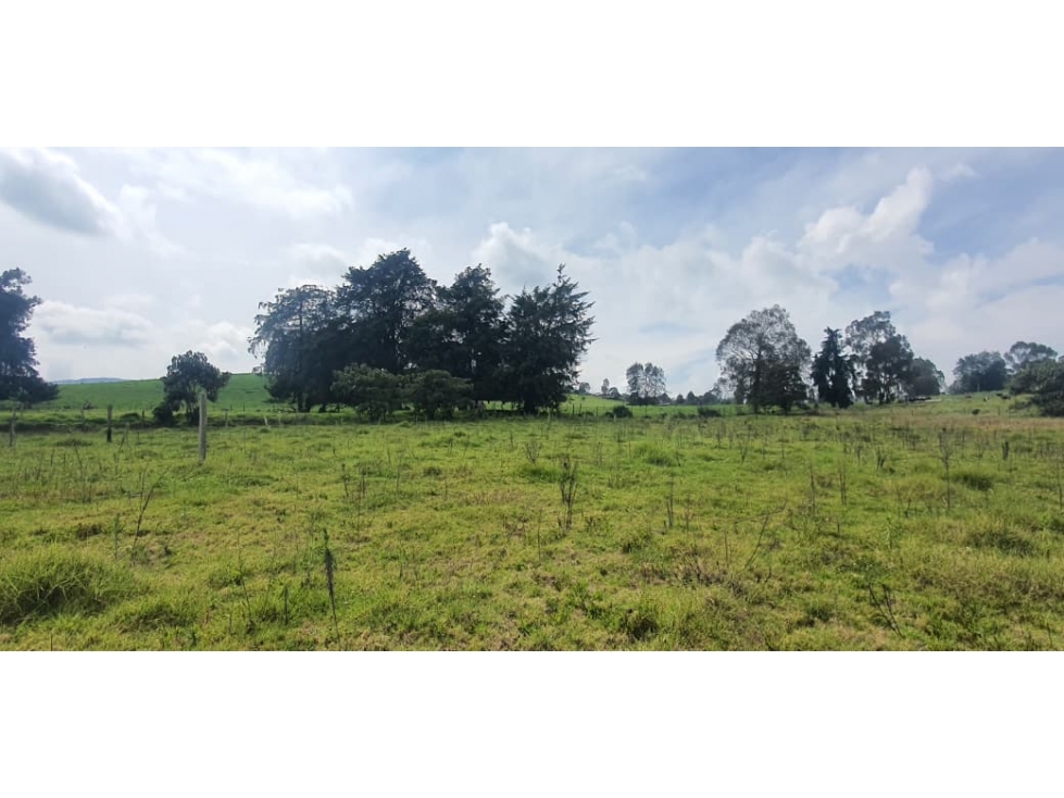 Se vende hermoso Lote ubicado en San pedro de los Milagros Lote 50 — foto 2