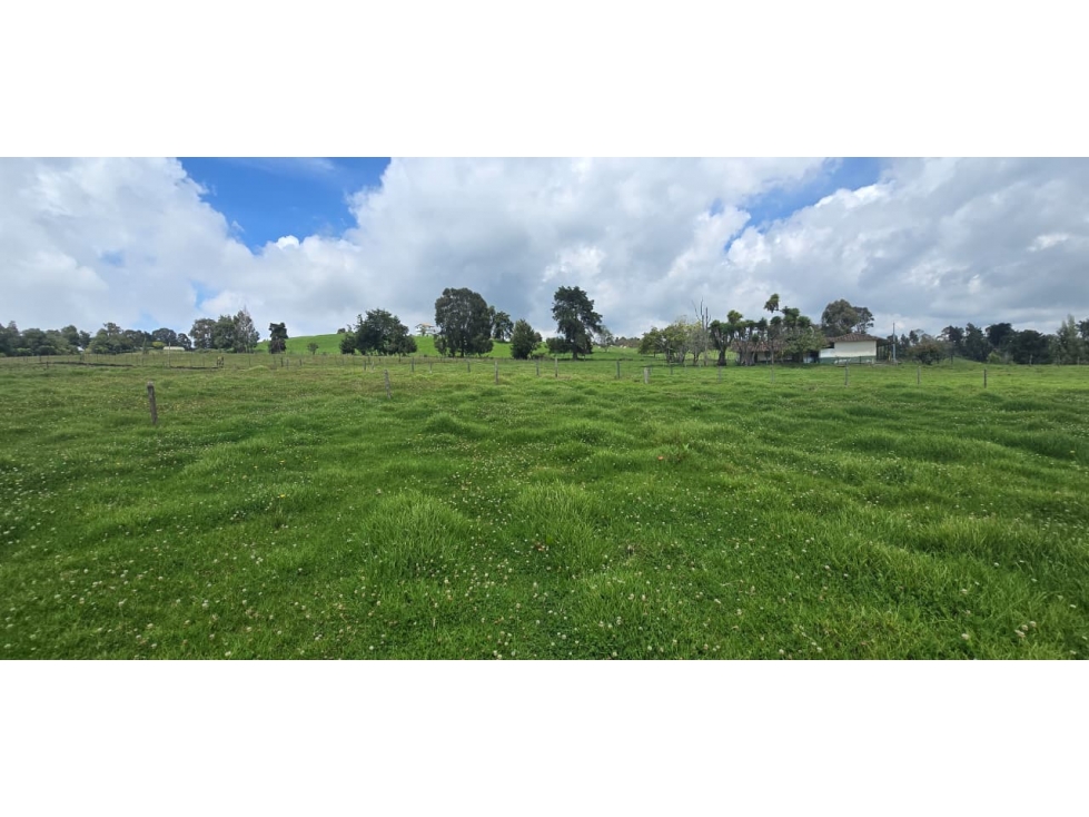 Se vende hermoso Lote ubicado en San pedro de los milagros 1792 mts2 — foto 2