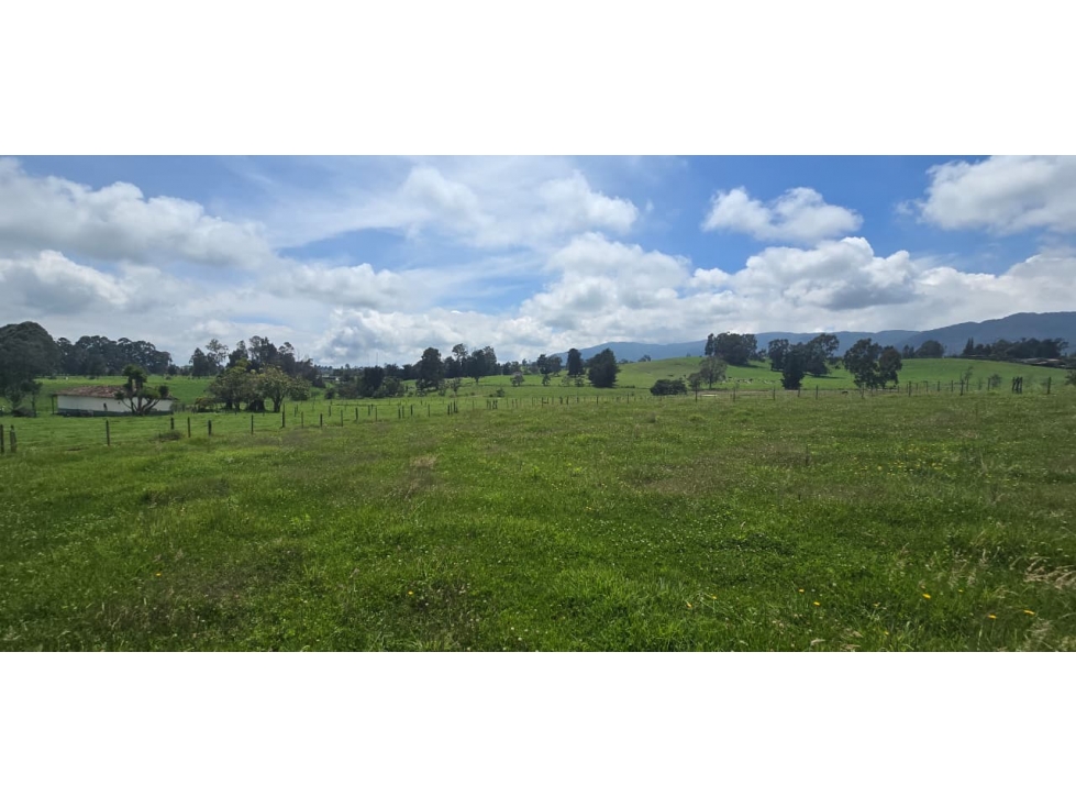 Se vende hermoso Lote ubicado en San pedro de los milagros 2268 mts2 — foto 2