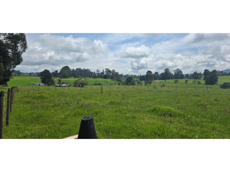 Se vende hermoso Lote ubicado en San pedro de los milagros 1966 mts2 — foto 2