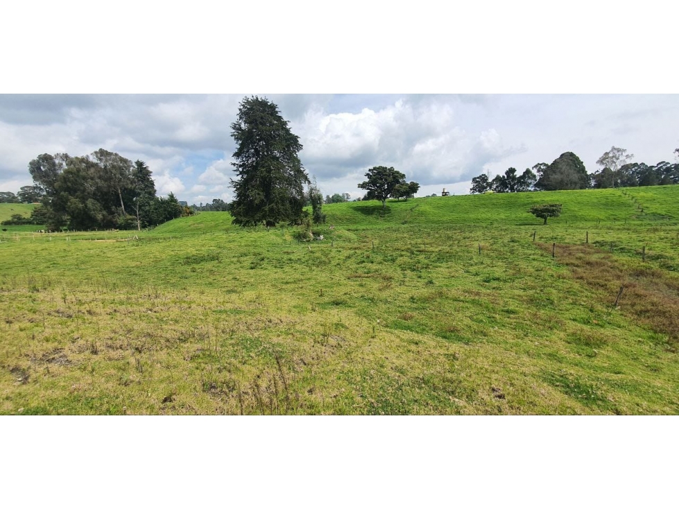 Se vende hermoso Lote ubicado en San pedro de los milagros 1897 mts2 — foto 3