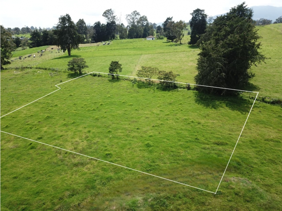 Se vende hermoso Lote ubicado en San pedro de los Milagros Lote 50 — foto 3