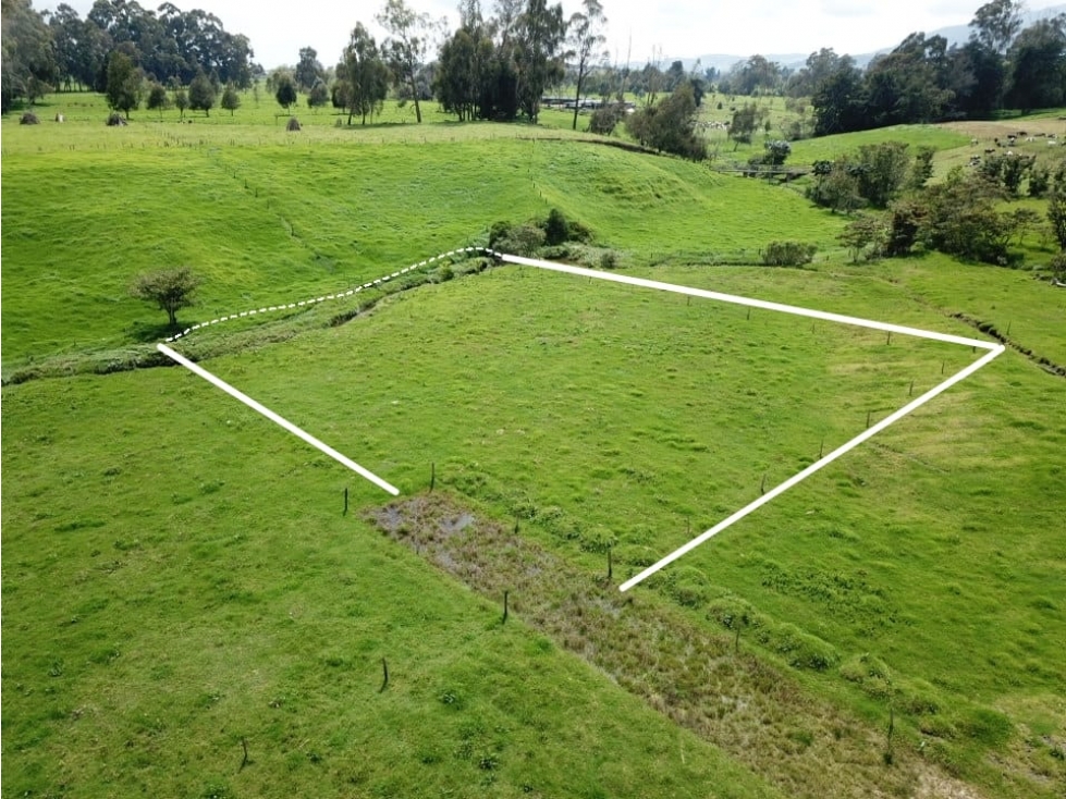 Se vende hermoso Lote ubicado en San pedro de los milagros 2444 mts2 — foto 3