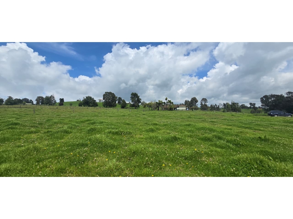 Se vende hermoso Lote ubicado en San pedro de los milagros 1792 mts2 — foto 3