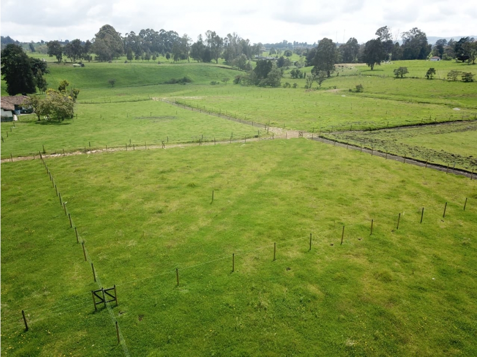 Se vende hermoso Lote ubicado en San pedro de los milagros 2075 mts2 — foto 3