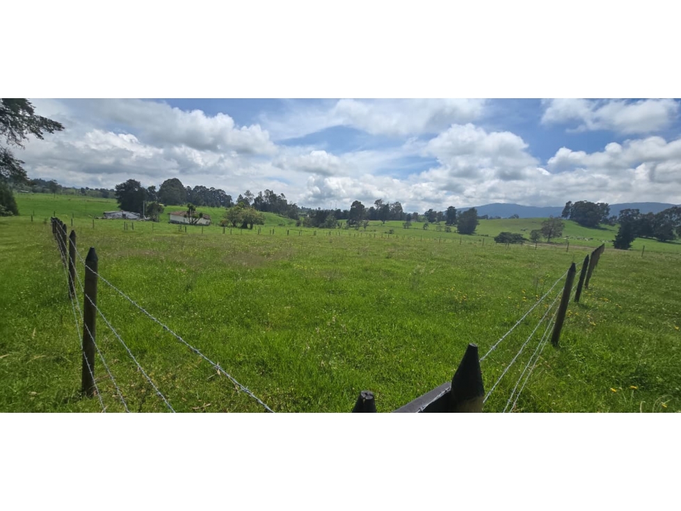 Se vende hermoso Lote ubicado en San pedro de los milagros 2268 mts2 — foto 3