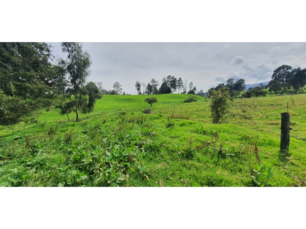 Se vende hermoso Lote ubicado en San pedro de los milagros 2688 mts2 — foto 4