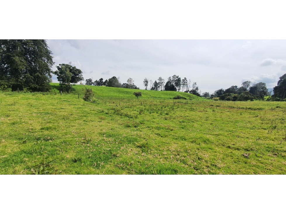 Se vende hermoso Lote ubicado en San pedro de los milagros 1897 mts2 — foto 4