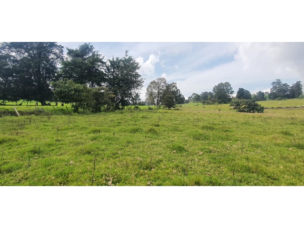 Se vende hermoso Lote ubicado en San pedro de los Milagros Lote 50 — foto 4
