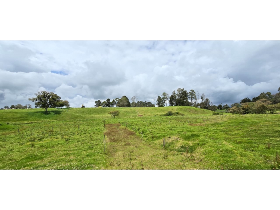 Se vende hermoso Lote ubicado en San pedro de los milagros 2444 mts2 — foto 4