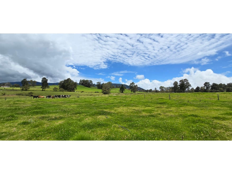 Se vende hermoso Lote ubicado en San pedro de los milagros 1792 mts2 — foto 4