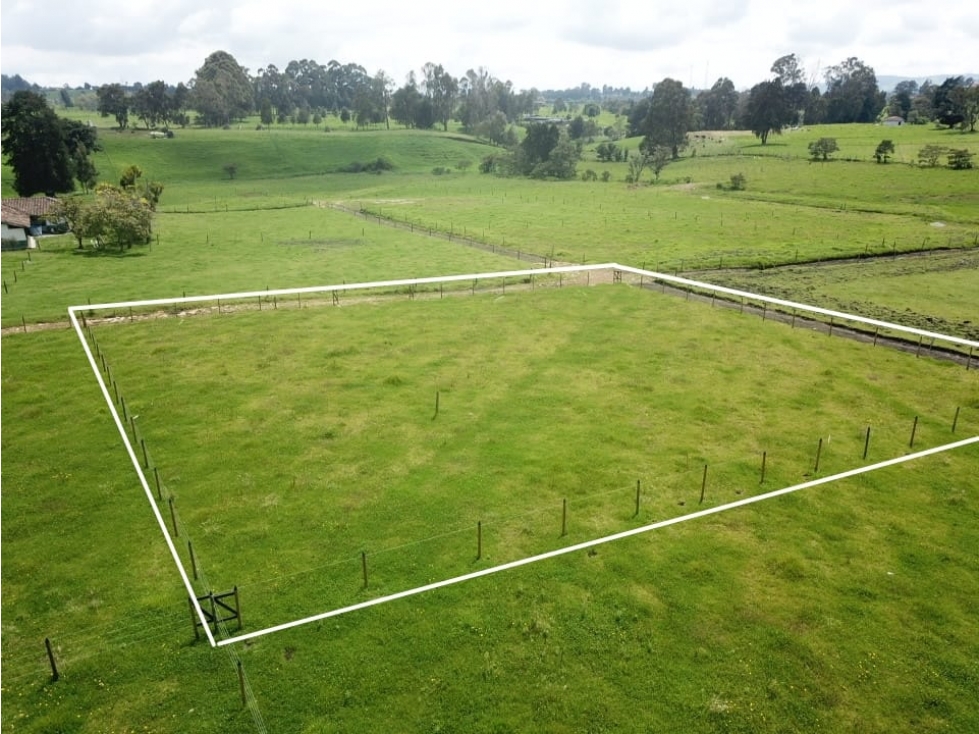 Se vende hermoso Lote ubicado en San pedro de los milagros 2075 mts2 — foto 4