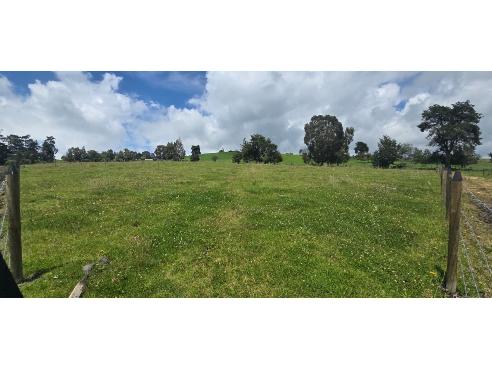Se vende hermoso Lote ubicado en San pedro de los milagros 2268 mts2 — foto 4