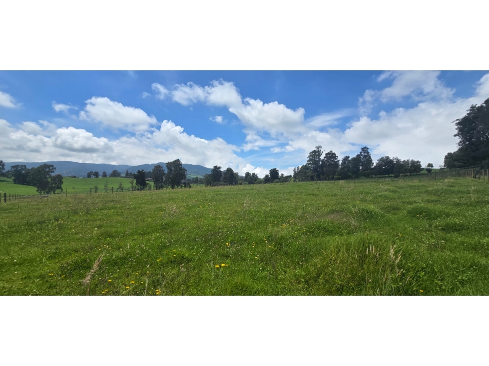 Se vende hermoso Lote ubicado en San pedro de los milagros 1966 mts2 — foto 4