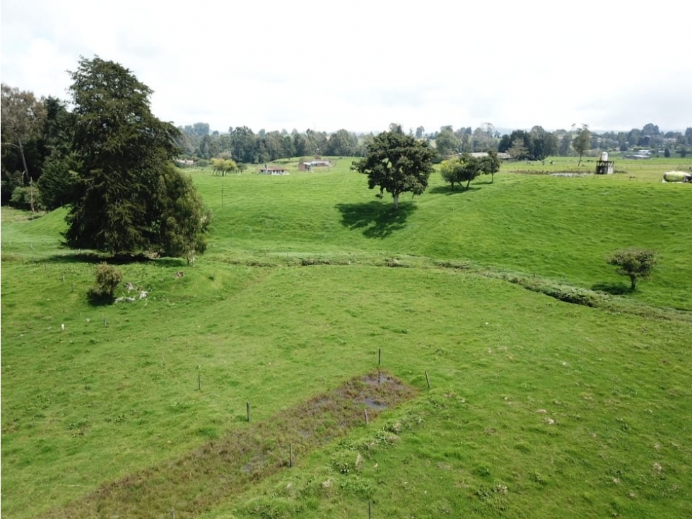 Se vende hermoso Lote ubicado en San pedro de los milagros 2688 mts2 — foto 5