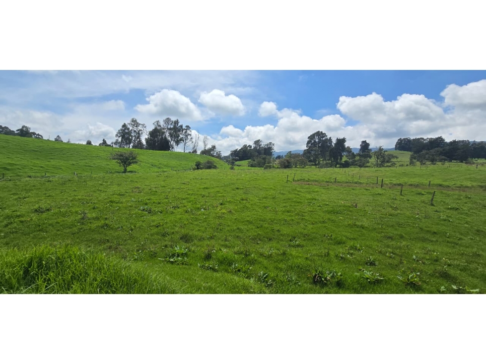 Se vende hermoso Lote ubicado en San pedro de los milagros 1897 mts2 — foto 5