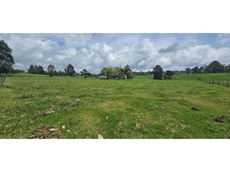 Se vende hermoso Lote ubicado en San pedro de los Milagros Lote 2 — foto 5