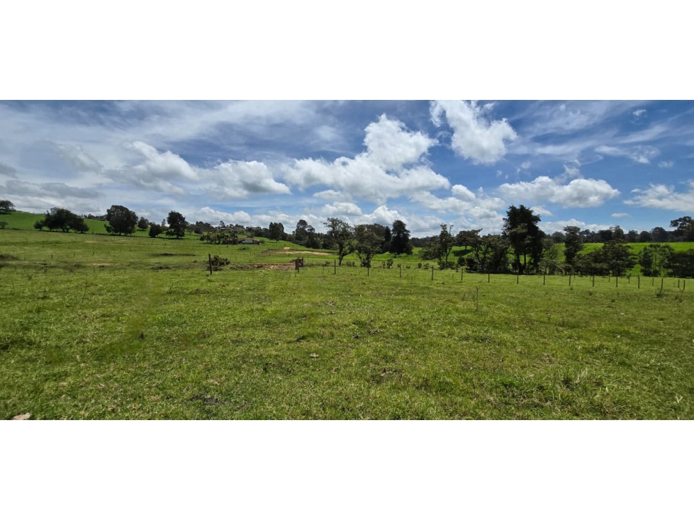 Se vende hermoso Lote ubicado en San pedro de los Milagros Lote 50 — foto 5