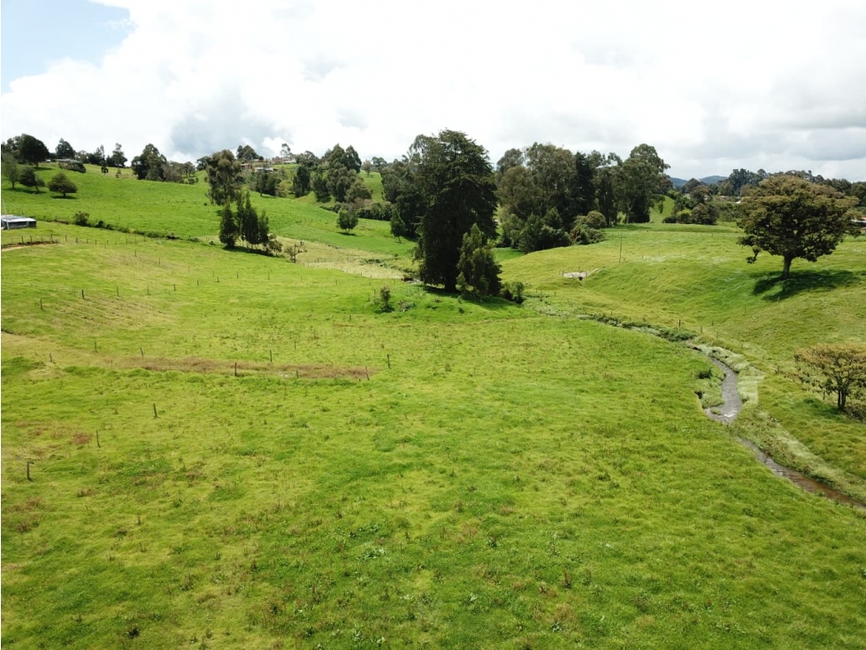 Se vende hermoso Lote ubicado en San pedro de los milagros 2444 mts2 — foto 5
