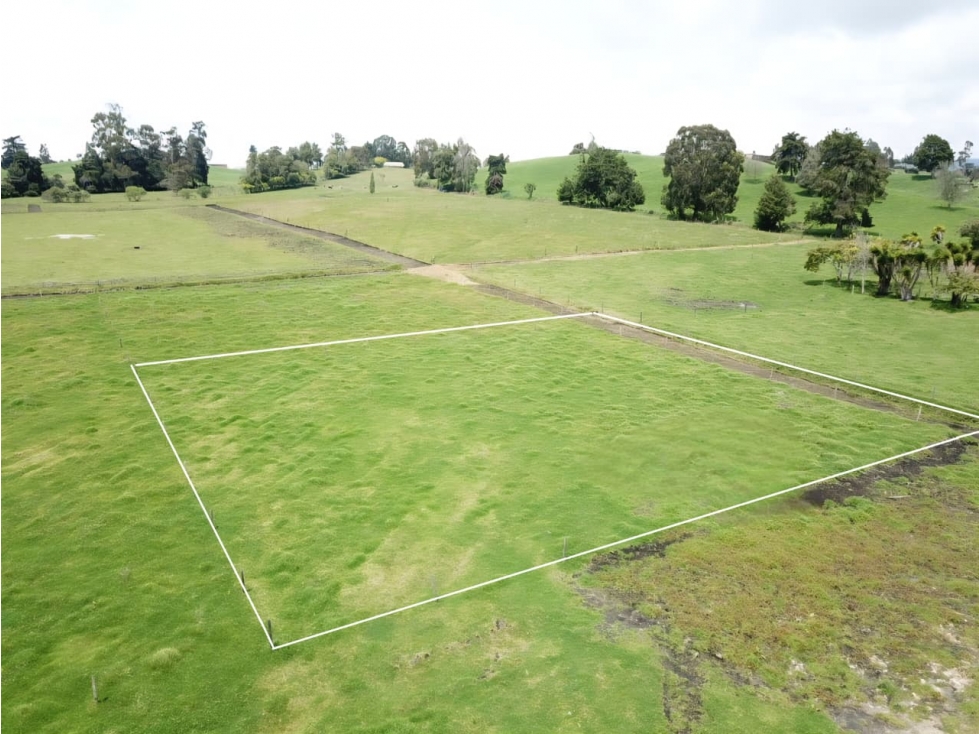 Se vende hermoso Lote ubicado en San pedro de los milagros 1792 mts2 — foto 5