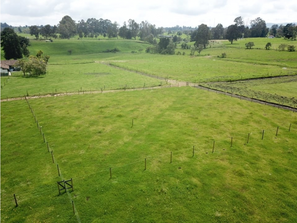 Se vende hermoso Lote ubicado en San pedro de los milagros 2075 mts2 — foto 5