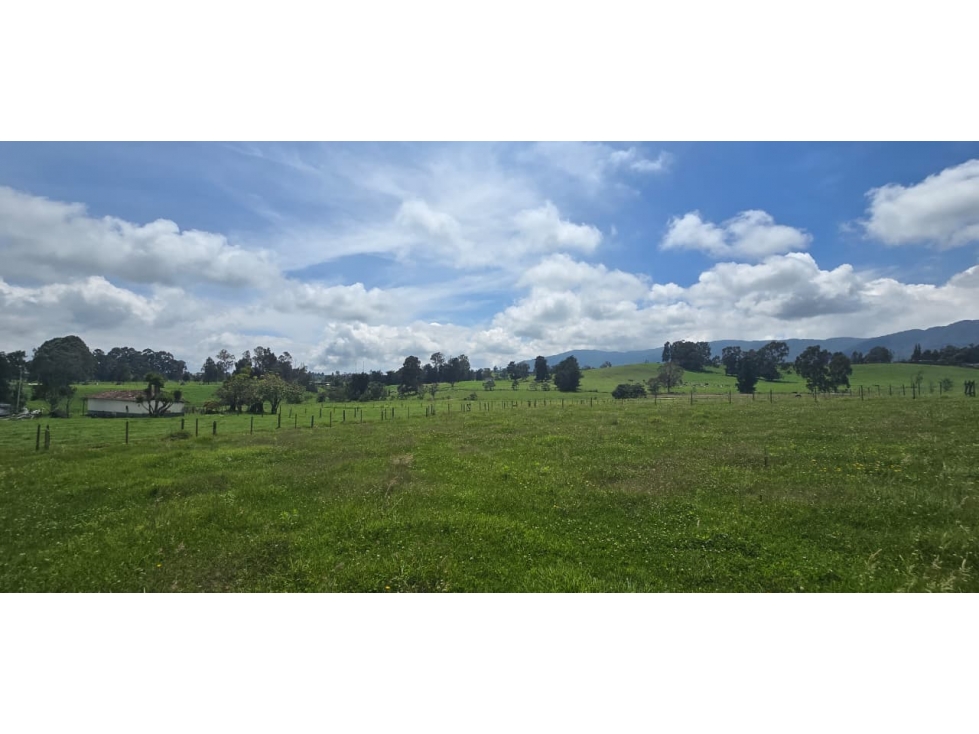 Se vende hermoso Lote ubicado en San pedro de los milagros 2268 mts2 — foto 5