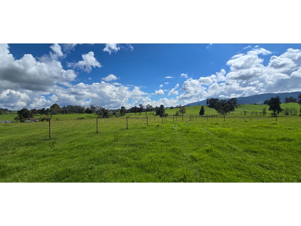 Se vende hermoso Lote ubicado en San pedro de los milagros 1966 mts2 — foto 5