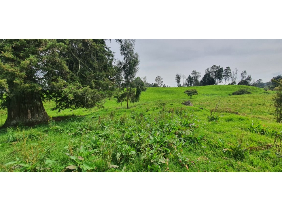 Se vende hermoso Lote ubicado en San pedro de los milagros 2688 mts2 — foto 6
