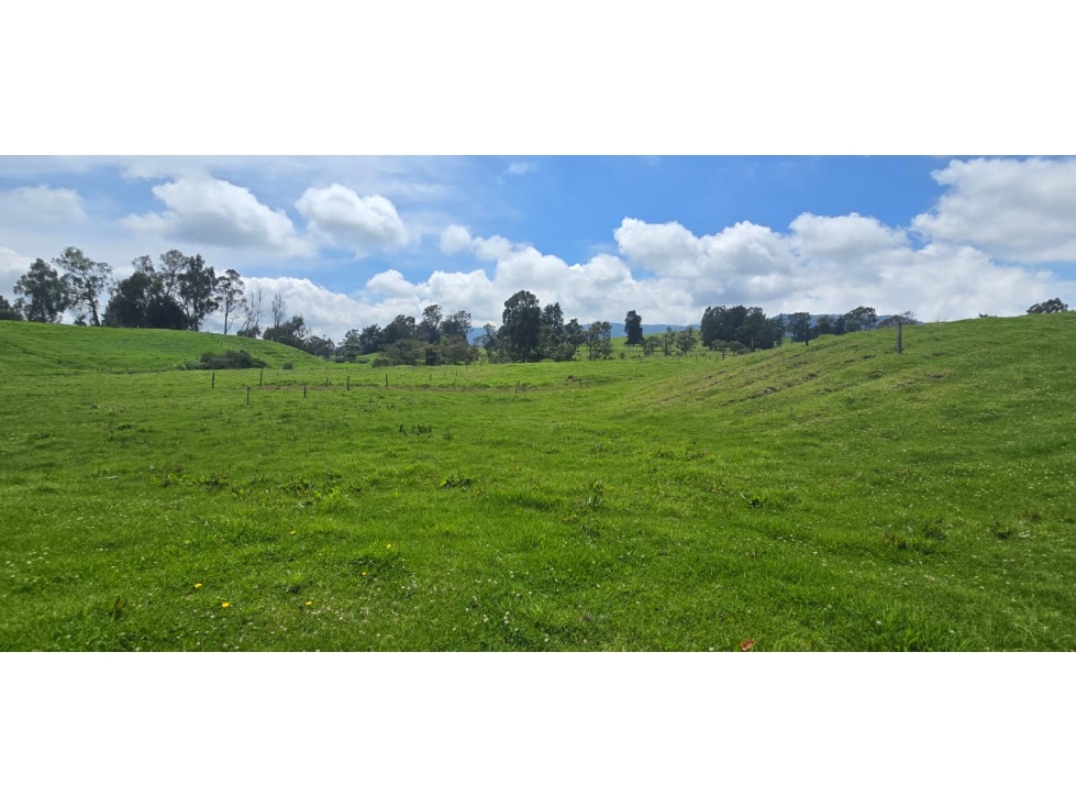 Se vende hermoso Lote ubicado en San pedro de los milagros 1897 mts2 — foto 6