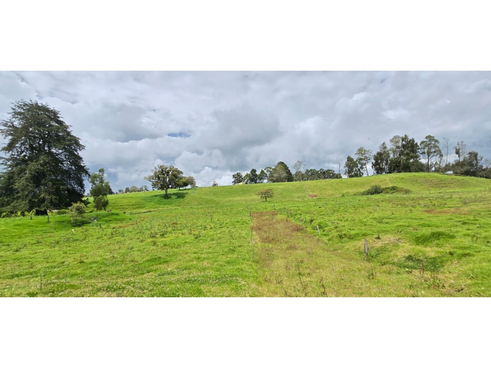 Se vende hermoso Lote ubicado en San pedro de los milagros 2444 mts2 — foto 6