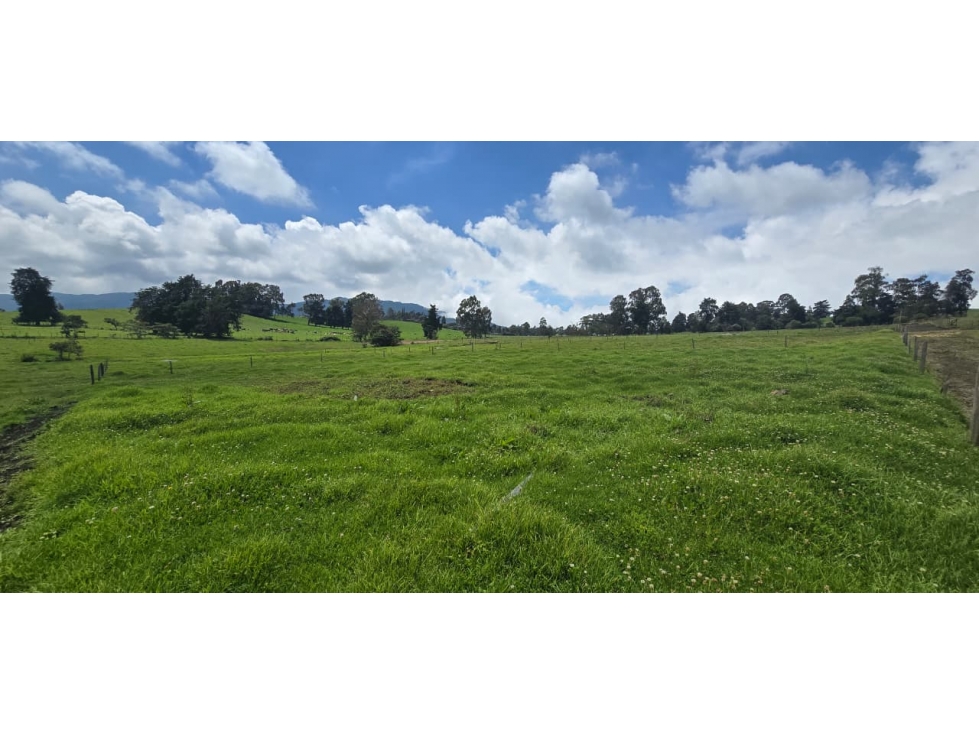 Se vende hermoso Lote ubicado en San pedro de los milagros 1792 mts2 — foto 6