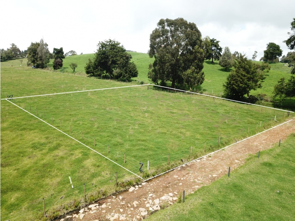 Se vende hermoso Lote ubicado en San pedro de los milagros 2268 mts2 — foto 6