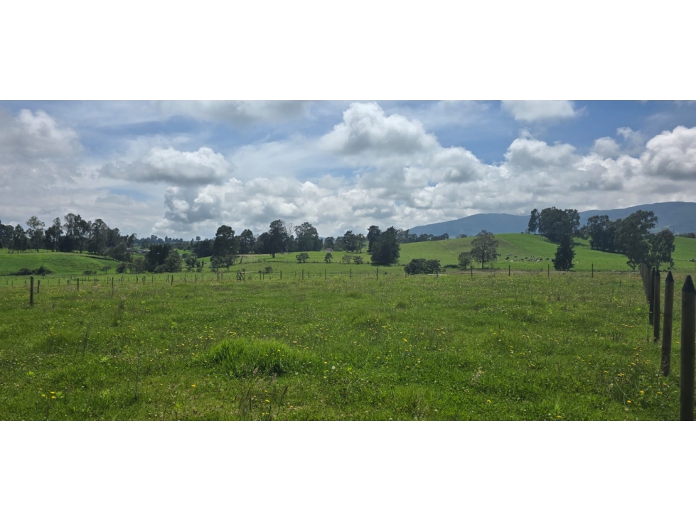 Se vende hermoso Lote ubicado en San pedro de los milagros 1966 mts2 — foto 6