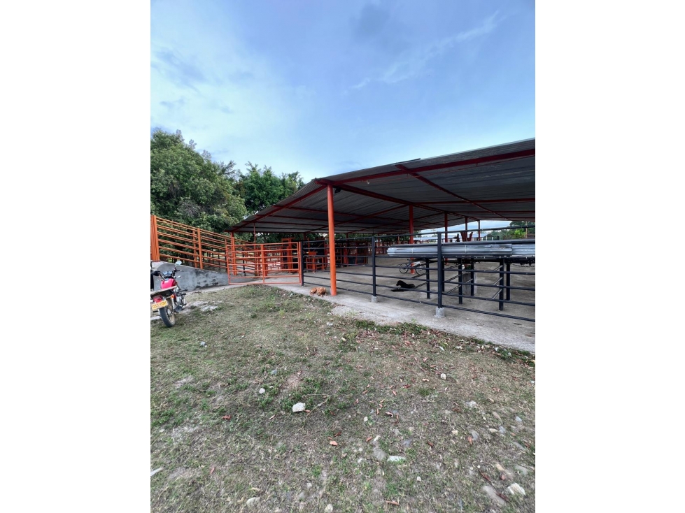 VENTA FINCA EN SABANA DE TORRES - 3