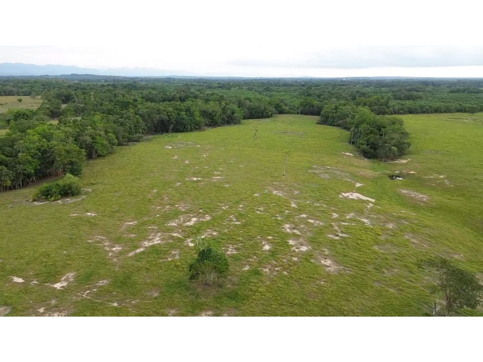 VENTA FINCA EN SABANA DE TORRES - 5