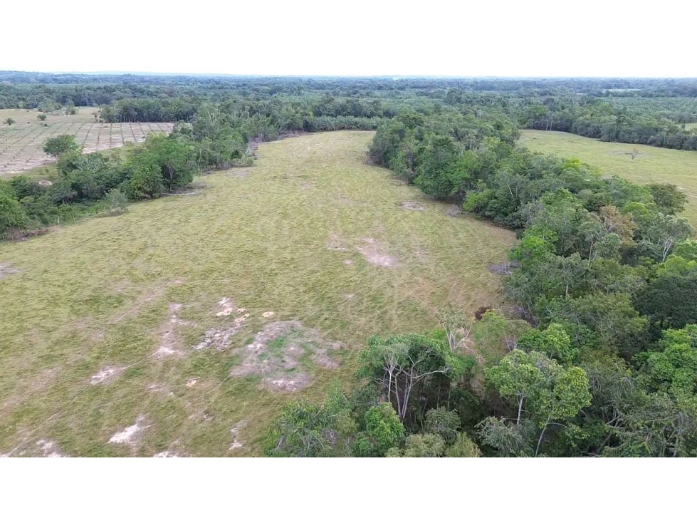VENTA FINCA EN SABANA DE TORRES - 6