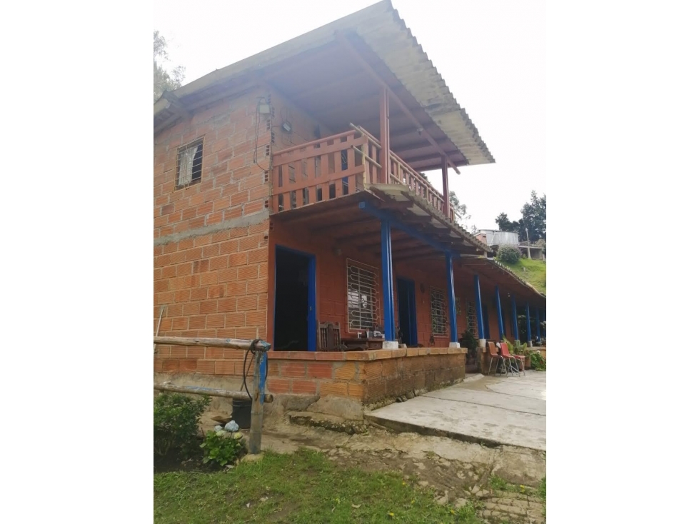 VENDO FINCA EN GUARNE — foto 4