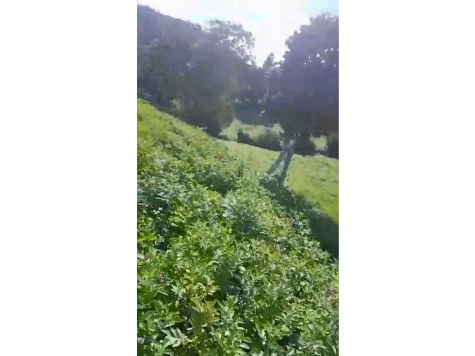 GIA 348. Lote en venta, Choachi, Vereda Bobadilla - 4