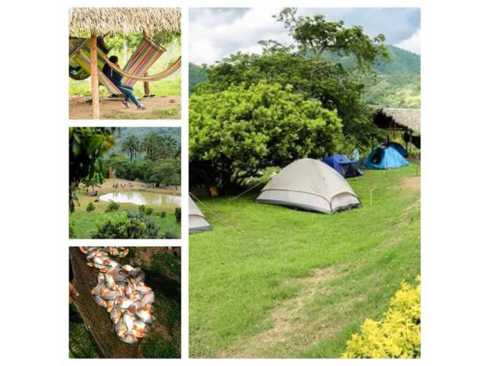 GIA 349. EN VENTA FINCA HOTEL , LA MESA CUNDINAMARCA - 4