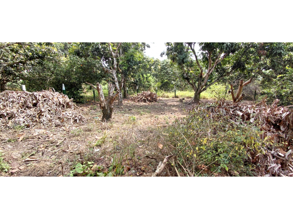 LOTE PLANO EN VENTA, LA MESA , CUNDINAMARCA - 2