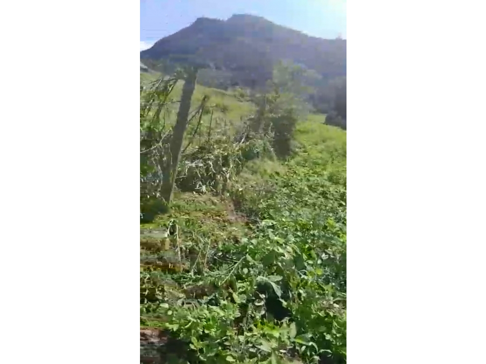 GIA 348. Lote en venta, Choachi, Vereda Bobadilla - 5