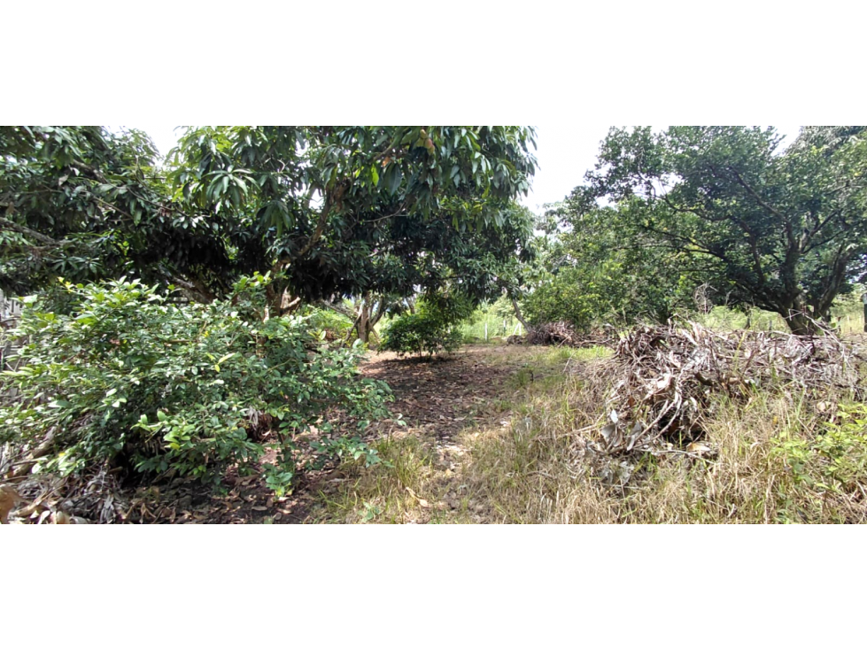 LOTE PLANO EN VENTA, LA MESA , CUNDINAMARCA - 4